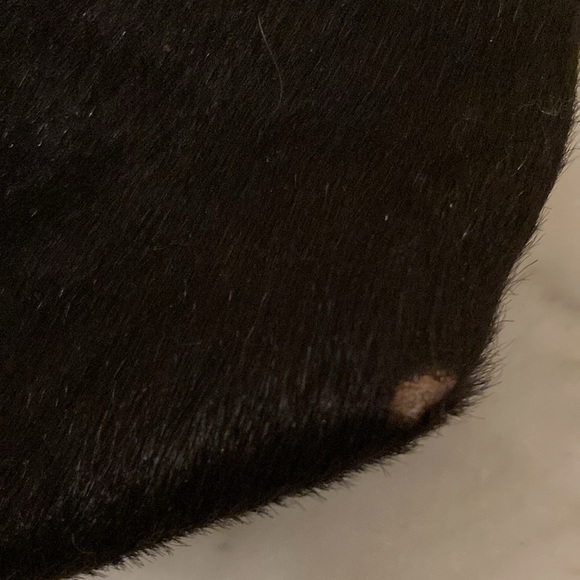 COPY - Maurizio Taiuti Pony fur bag - Picture 6 of 8